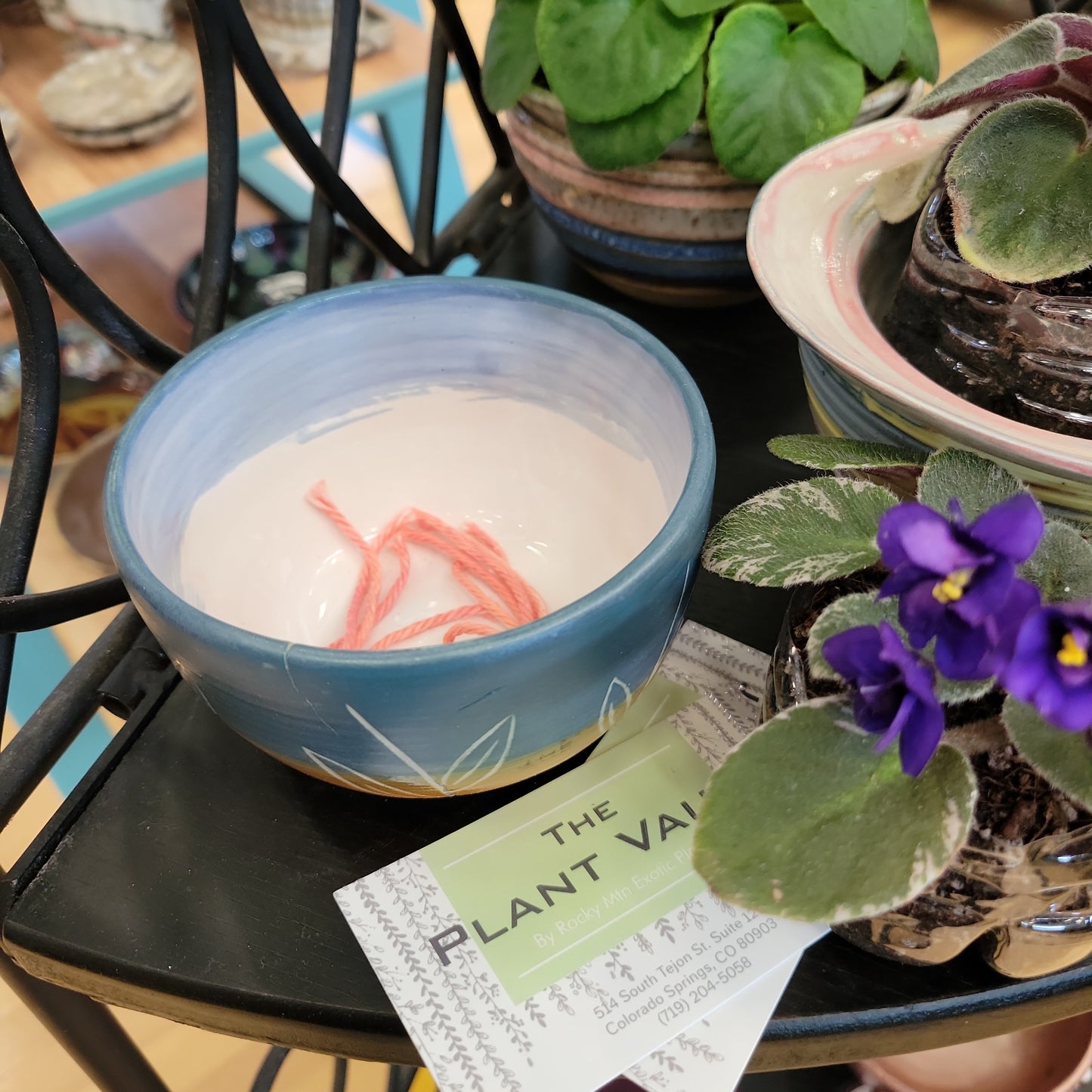 African Violet Pot